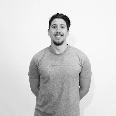 Piet_Website_Screenshot_15f382aa-c9ee-427e-896f-e89293129ede